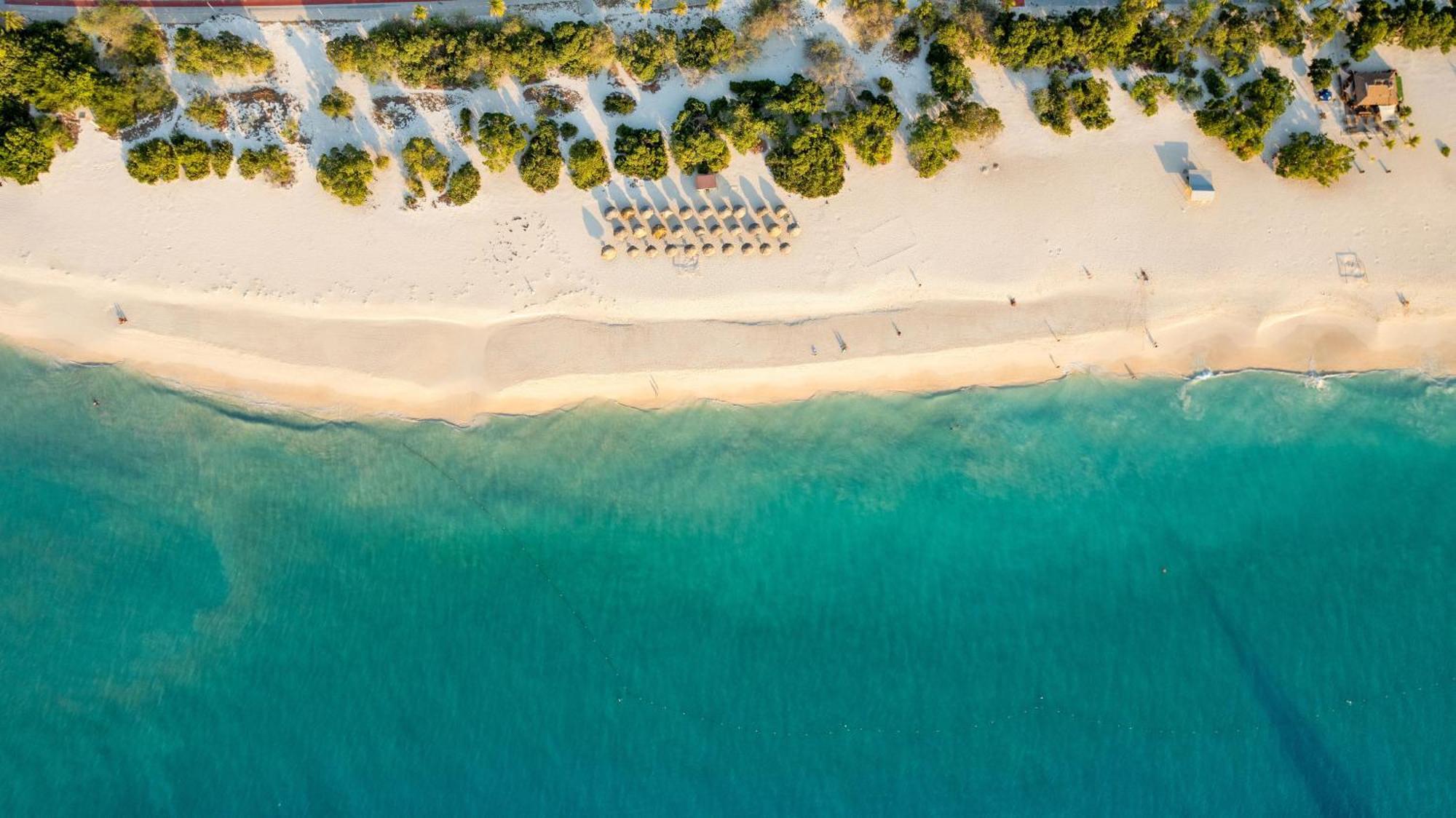 O Condominium Beachfront Residences, By Bocobay Aruba Palm Beach ภายนอก รูปภาพ